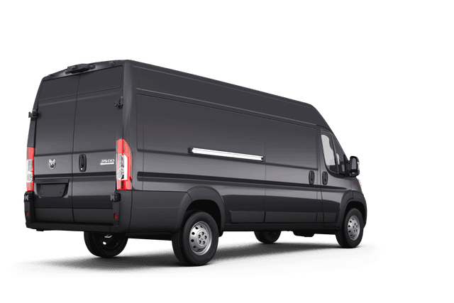 Ram false  - Back view Ram false  - Back view